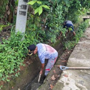 IMG-20251128-WA0149(1)