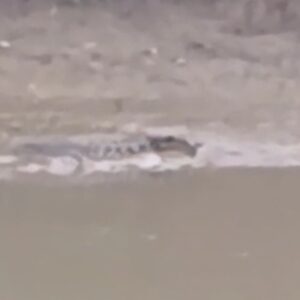 Screenshot_20251106_193303_WhatsApp