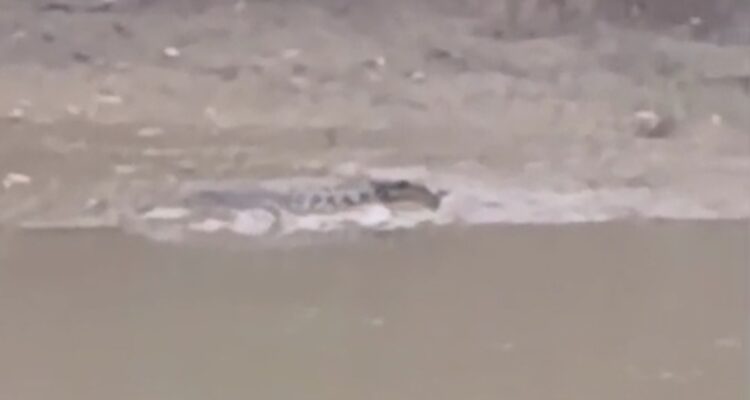 Screenshot_20251106_193303_WhatsApp